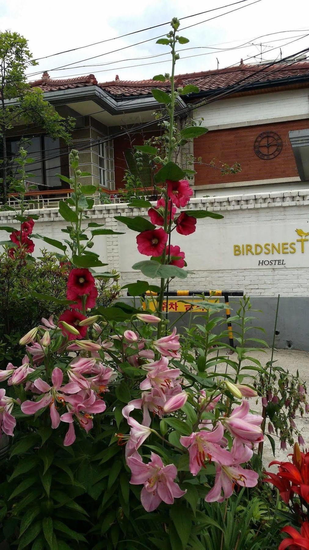 Birdsnest Hostel Hongdae Foreigner Only Seoul Exterior photo